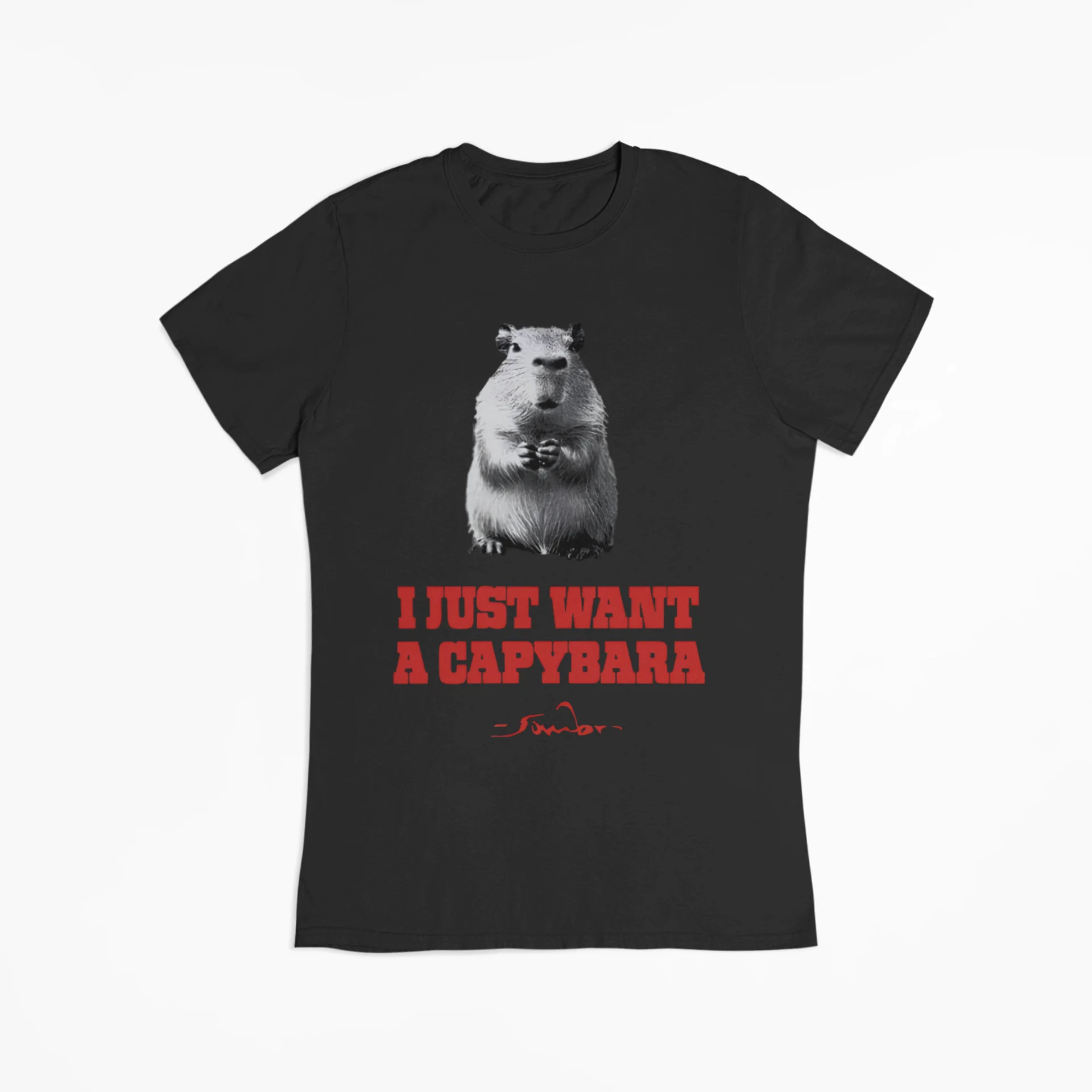 I Just Want A Capybara T-Shirt